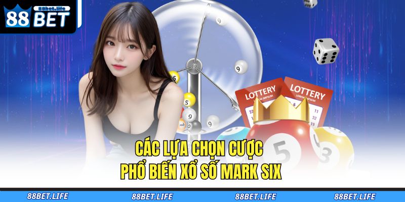 Các lựa chọn cược phổ biến xổ số Mark Six
