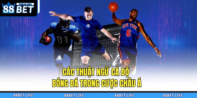 Các thuật ngữ cá độ bóng đá trong cược Châu Á