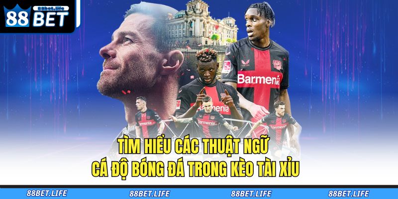 Tìm hiểu các thuật ngữ cá độ bóng đá trong kèo tài xỉu